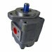 BOMBA PRINC. EMP. HYSTER H110J, H150J - PLACAS E SELO DE BRONZE
